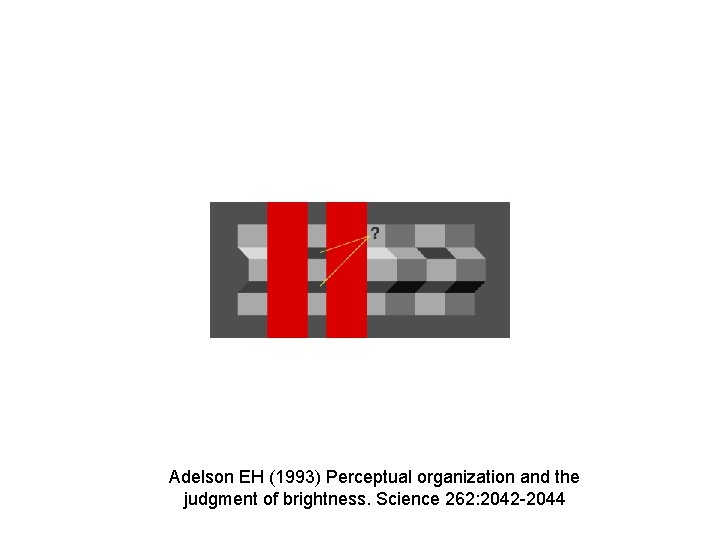 Adelson EH (1993) Perceptual organization and the judgment of brightness. Science 262: 2042 -2044