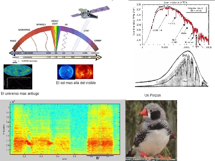 El sol mas alla del visible El universo mas antiugo Un Pinzon 