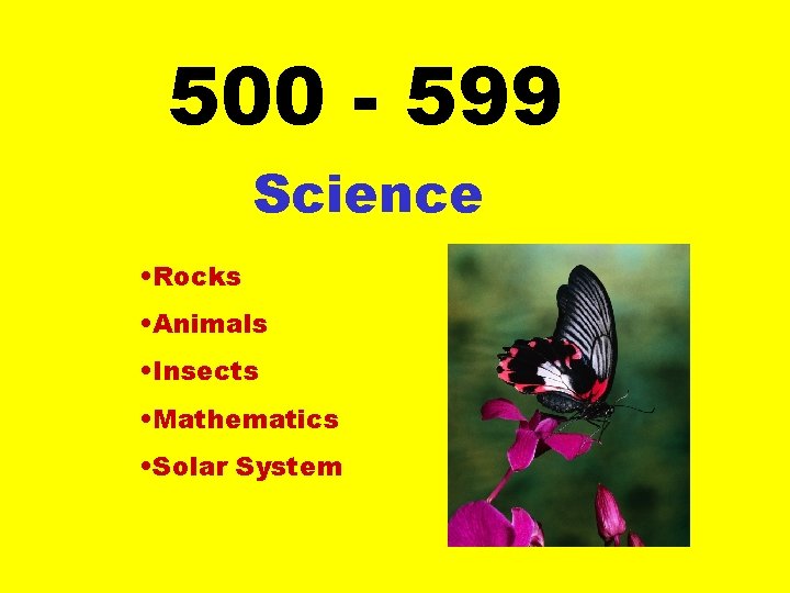 500 - 599 Science • Rocks • Animals • Insects • Mathematics • Solar