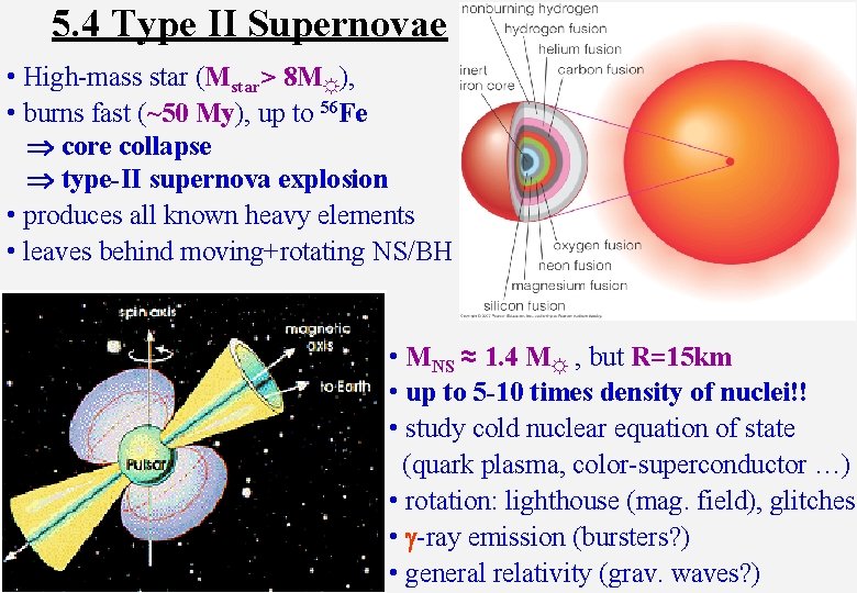 5. 4 Type II Supernovae • High-mass star (Mstar> 8 M☼), • burns fast