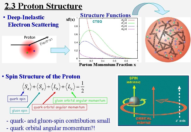 2. 3 Proton Structure • Deep-Inelastic Electron Scattering Structure Functions xf(x) CTEQ Parton Momentum