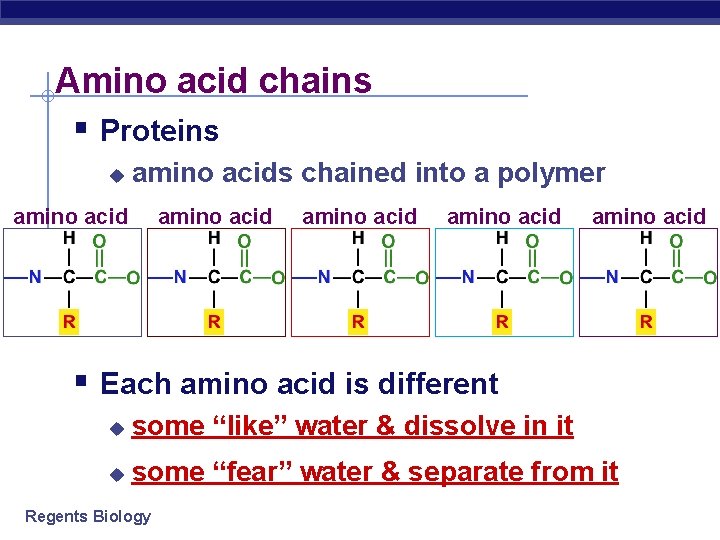 Amino acid chains § Proteins u amino acids chained into a polymer amino acid