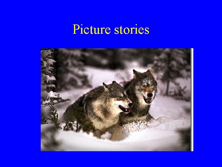 Picture stories 