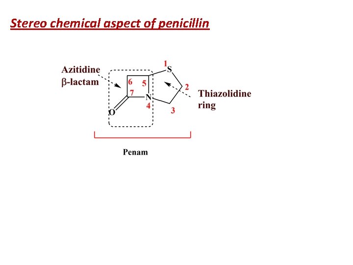 Stereo chemical aspect of penicillin 