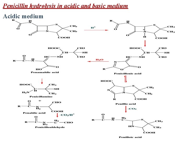 Penicillin hydrolysis in acidic and basic medium Acidic medium 