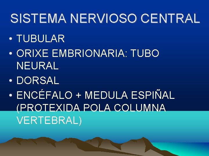 SISTEMA NERVIOSO CENTRAL • TUBULAR • ORIXE EMBRIONARIA: TUBO NEURAL • DORSAL • ENCÉFALO