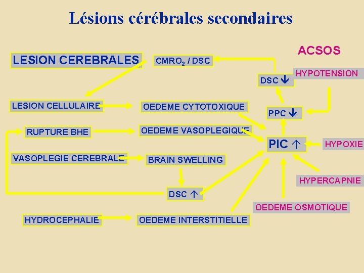 Lésions cérébrales secondaires LESION CEREBRALES ACSOS CMRO 2 / DSC LESION CELLULAIRE OEDEME CYTOTOXIQUE