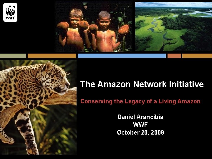 The Amazon Network Initiative Conserving the Legacy of a Living Amazon Daniel Arancibia WWF