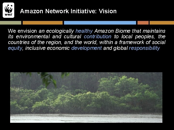 Amazon Network Initiative: Vision We envision an ecologically healthy Amazon Biome that maintains its
