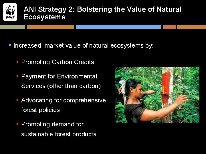 ANI Strategy 2: Bolstering the Value of Natural Ecosystems § Increased market value of