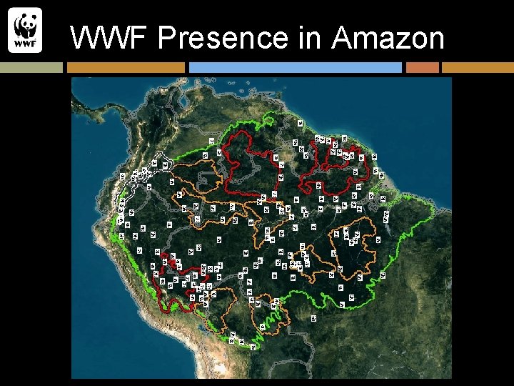 WWF Presence in Amazon 