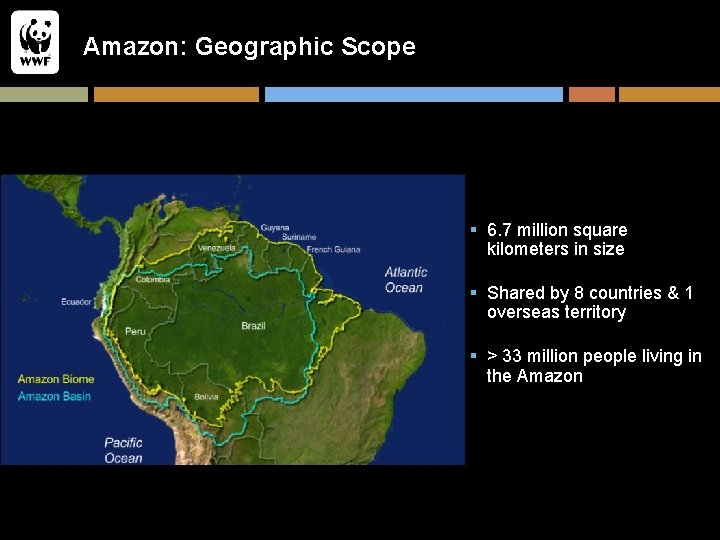 Amazon: Geographic Scope § 6. 7 million square kilometers in size § Shared by