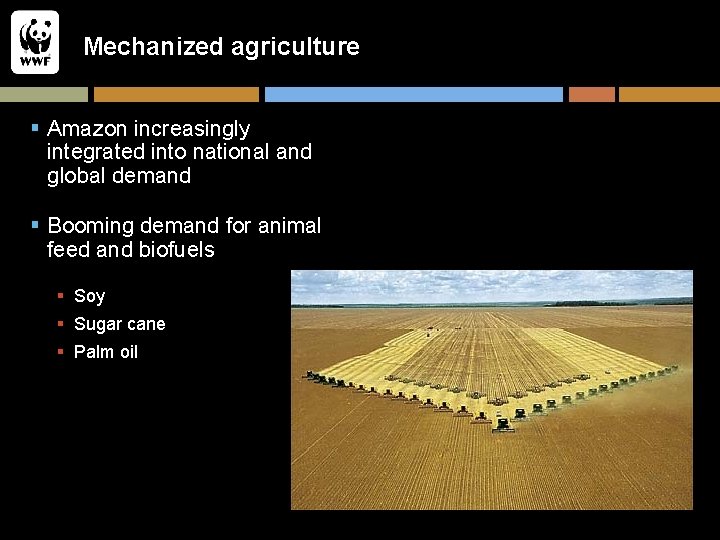 Mechanized agriculture § Amazon increasingly integrated into national and global demand § Booming demand