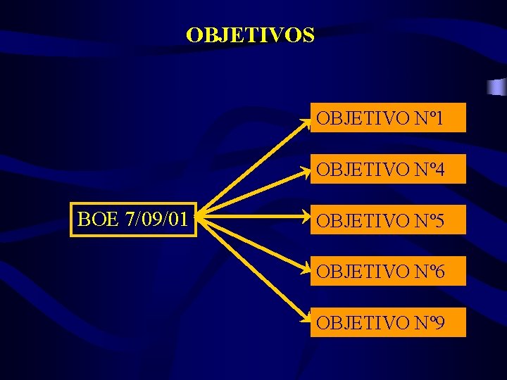 OBJETIVOS OBJETIVO Nº 1 OBJETIVO Nº 4 BOE 7/09/01 OBJETIVO Nº 5 OBJETIVO Nº