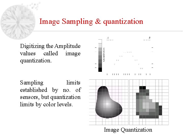 Image Sampling & quantization Digitizing the Amplitude values called image quantization. Sampling limits established