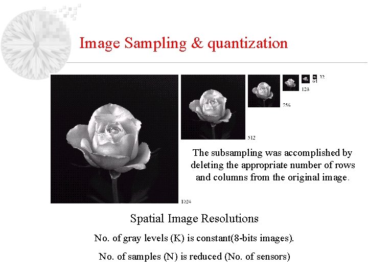 Image Sampling & quantization The subsampling was accomplished by deleting the appropriate number of