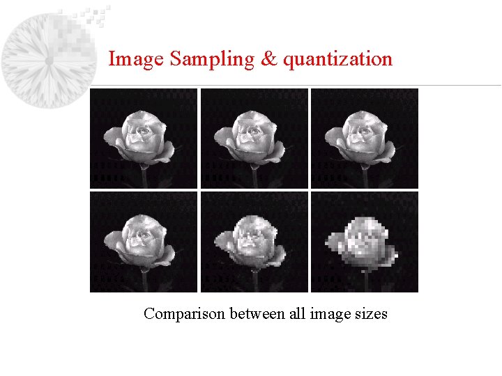 Image Sampling & quantization Comparison between all image sizes 