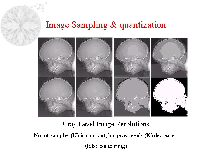 Image Sampling & quantization Gray Level Image Resolutions No. of samples (N) is constant,