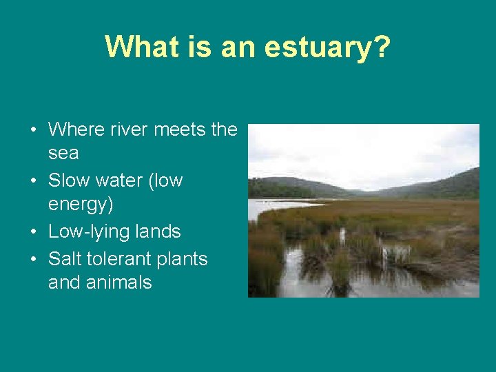 What is an estuary? • Where river meets the sea • Slow water (low