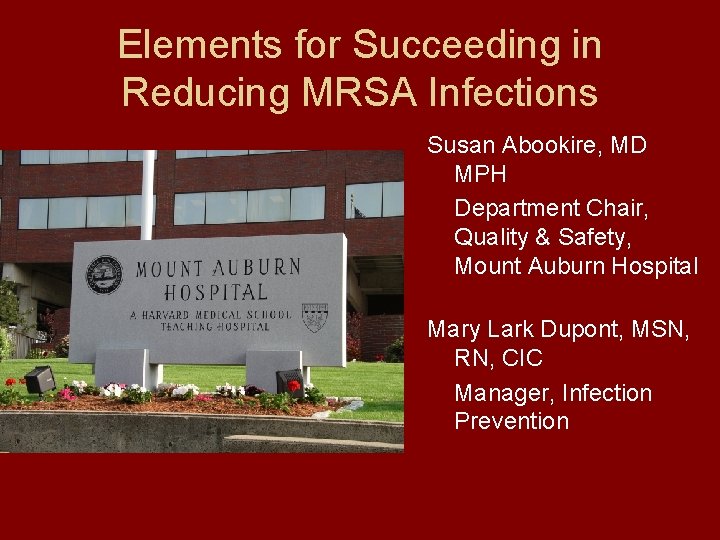 Elements for Succeeding in Reducing MRSA Infections Susan Abookire, MD MPH Department Chair, Quality