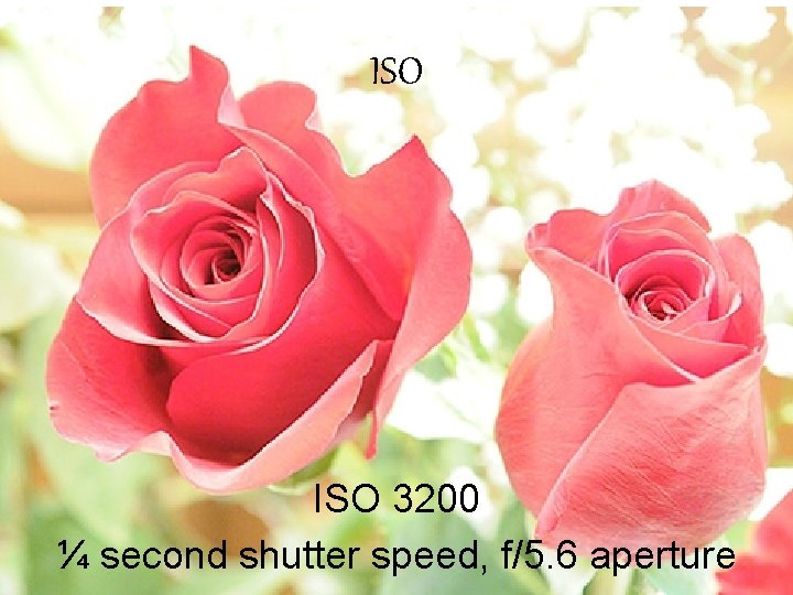 ISO 3200 ¼ second shutter speed, f/5. 6 aperture 