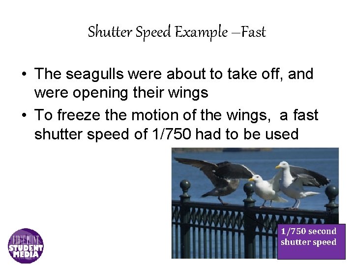 Shutter Speed Example –Fast • The seagulls were about to take off, and were