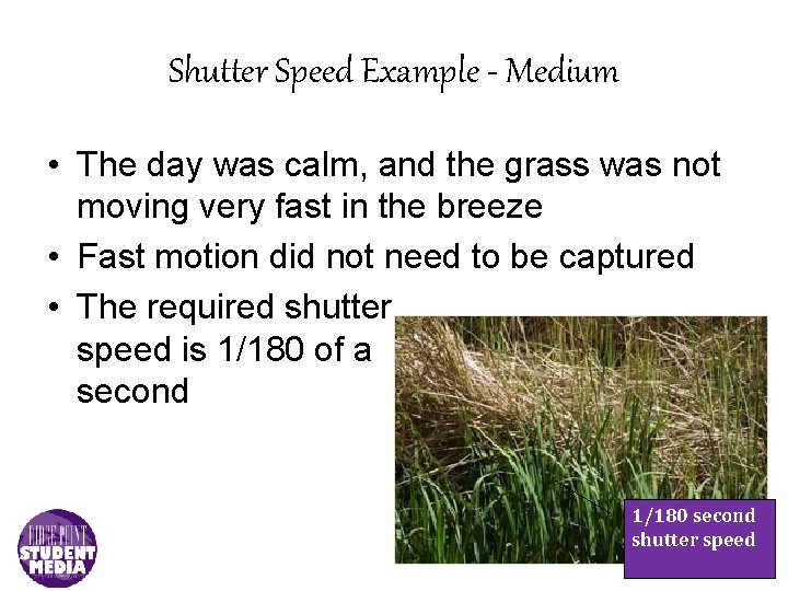Shutter Speed Example - Medium • The day was calm, and the grass was