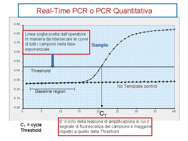 RealTime PCR o PCR Quantitativa Valutazione dellespressione di