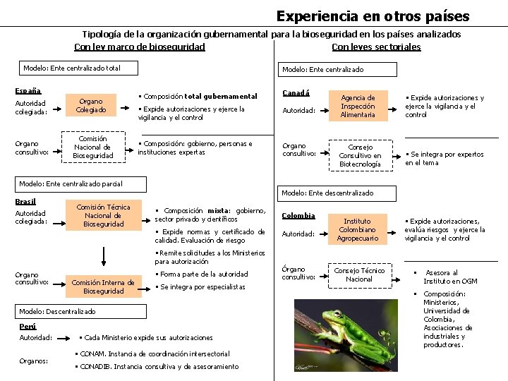 Experiencia en otros países Tipología de la organización gubernamental para la bioseguridad en los