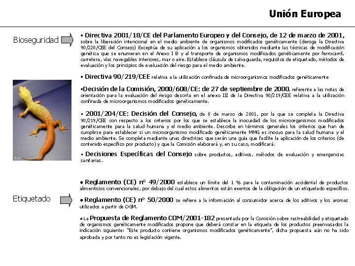 Unión Europea Bioseguridad • Directiva 2001/18/CE del Parlamento Europeo y del Consejo, de 12