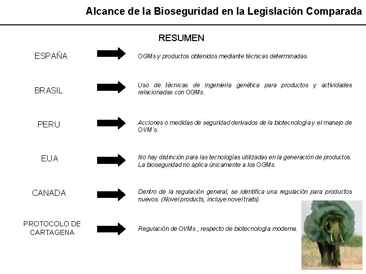 Alcance de la Bioseguridad en la Legislación Comparada RESUMEN ESPAÑA OGMs y productos obtenidos