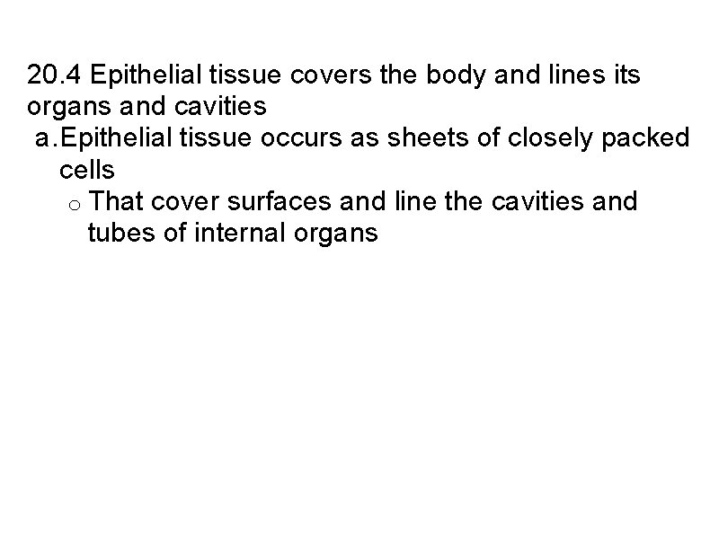 20. 4 Epithelial tissue covers the body and lines its organs and cavities a.