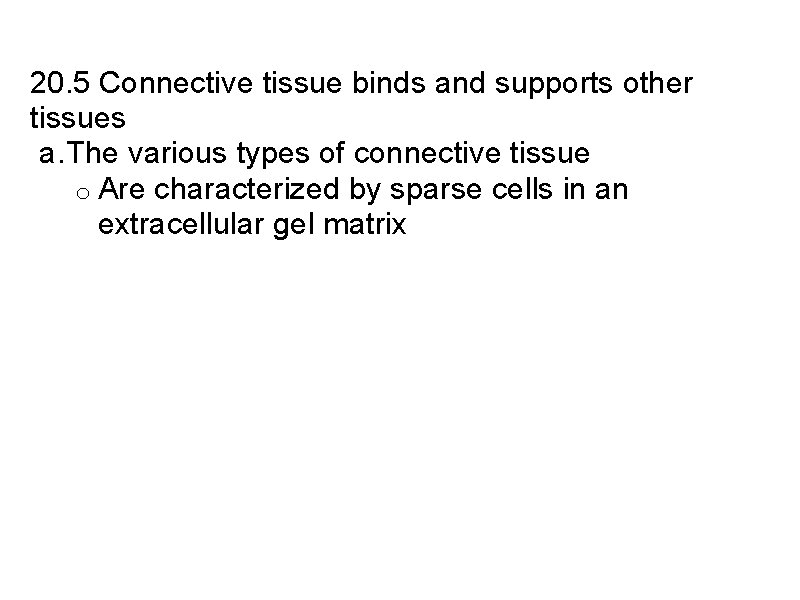 20. 5 Connective tissue binds and supports other tissues a. The various types of