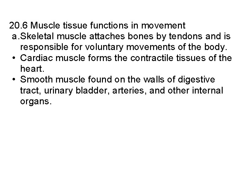 20. 6 Muscle tissue functions in movement a. Skeletal muscle attaches bones by tendons