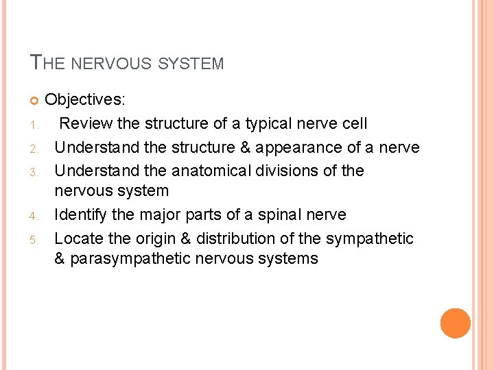 THE NERVOUS SYSTEM Objectives: 1. Review the structure of a typical nerve cell 2.