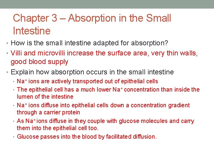 Chapter 3 – Absorption in the Small Intestine • How is the small intestine