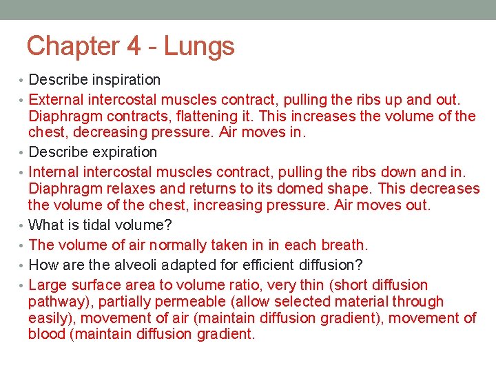 Chapter 4 - Lungs • Describe inspiration • External intercostal muscles contract, pulling the