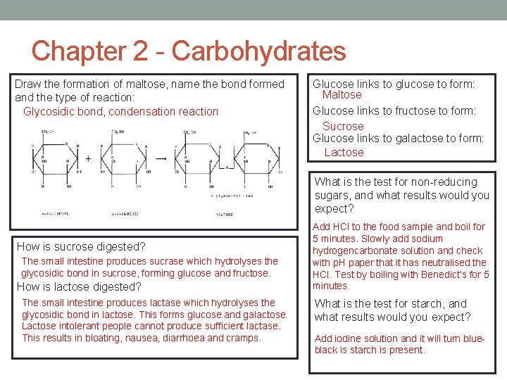 Chapter 2 - Carbohydrates Draw the formation of maltose, name the bond formed and