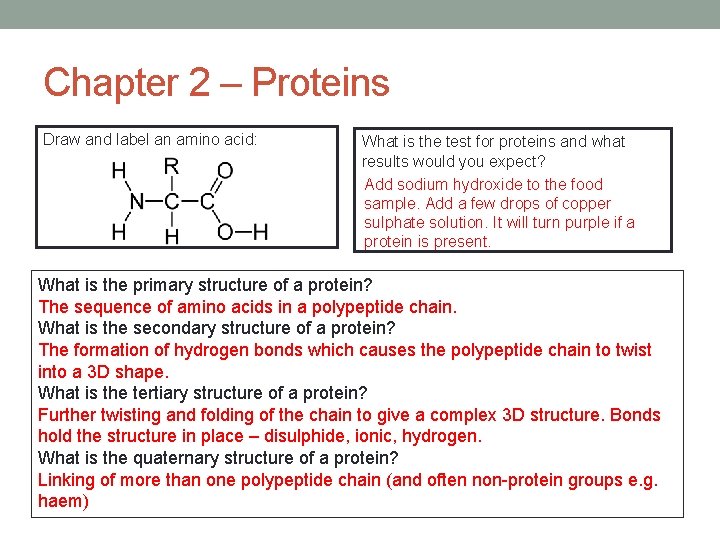 Chapter 2 – Proteins Draw and label an amino acid: What is the test