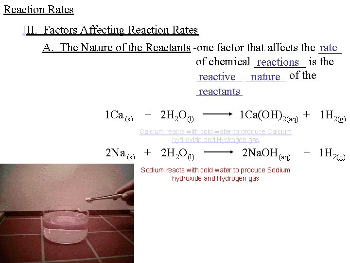 Reaction Rates III. Factors Affecting Reaction Rates A. The Nature of the Reactants -one