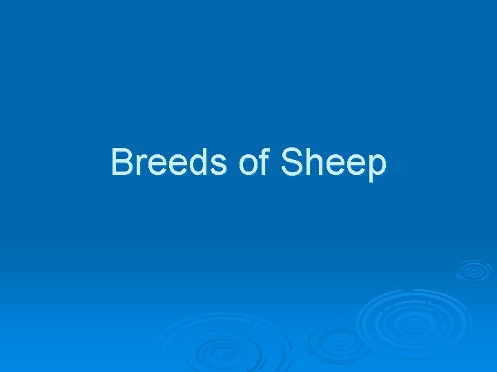 Breeds of Sheep 