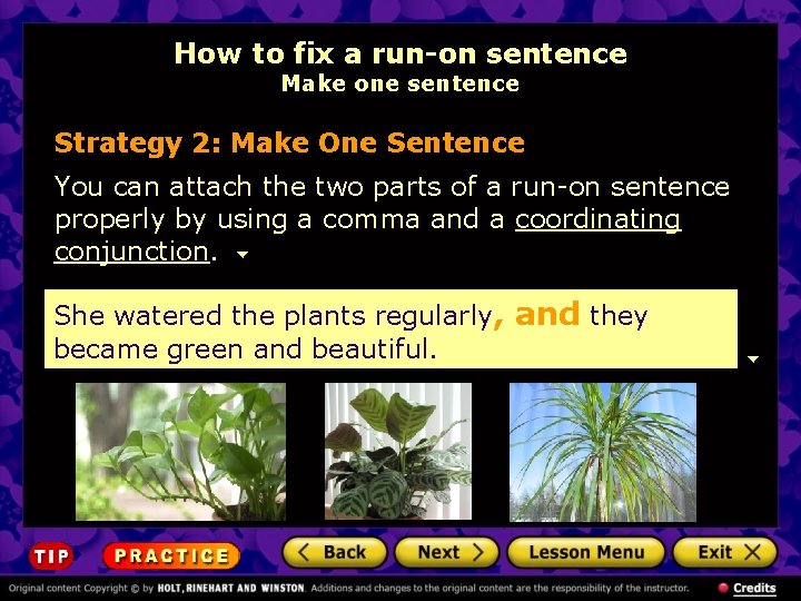 How to fix a run-on sentence Make one sentence Strategy 2: Make One Sentence