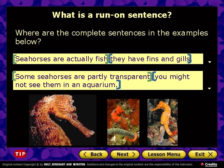 What is a run-on sentence? Where are the complete sentences in the examples below?