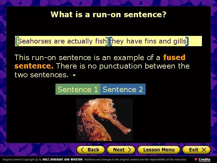 What is a run-on sentence? Seahorses are actually fish they have fins and gills.