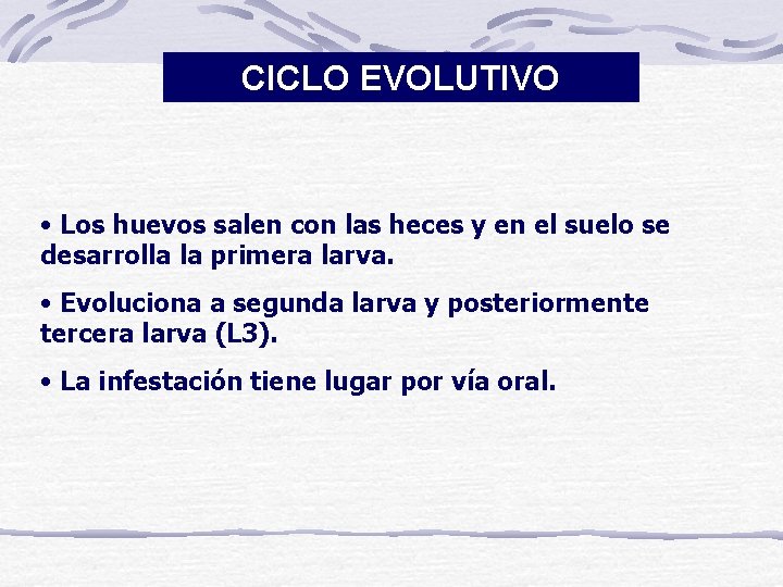 CICLO EVOLUTIVO • Los huevos salen con las heces y en el suelo se