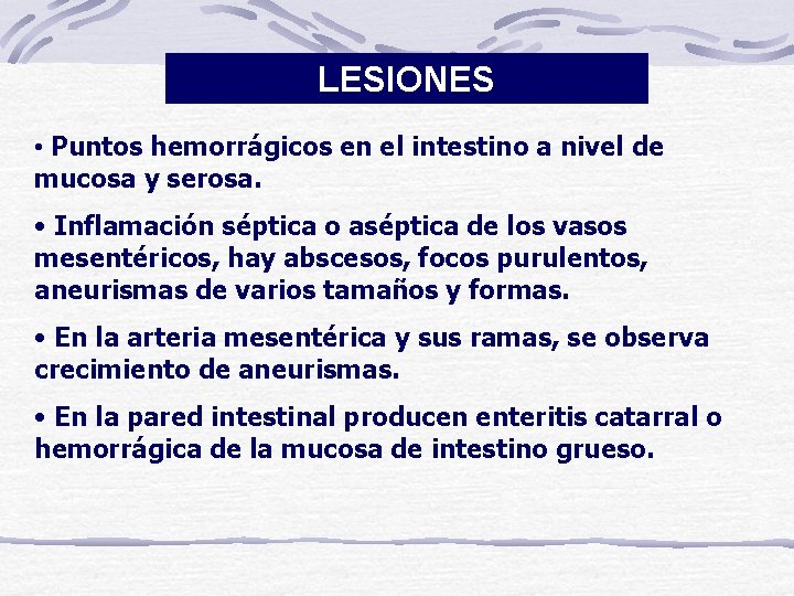 LESIONES • Puntos hemorrágicos en el intestino a nivel de mucosa y serosa. •