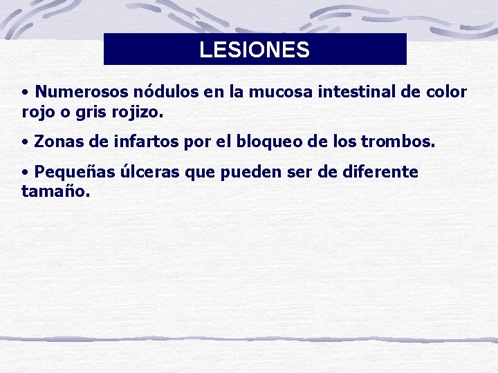 LESIONES • Numerosos nódulos en la mucosa intestinal de color rojo o gris rojizo.