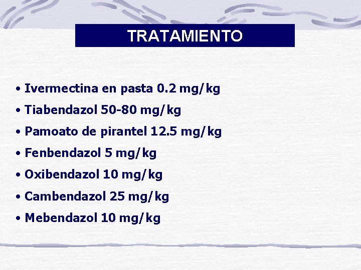 TRATAMIENTO • Ivermectina en pasta 0. 2 mg/kg • Tiabendazol 50 -80 mg/kg •