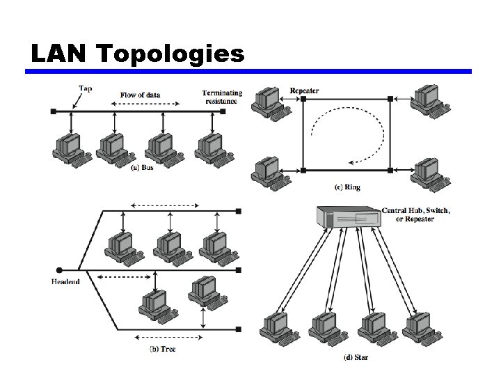 LAN Topologies 