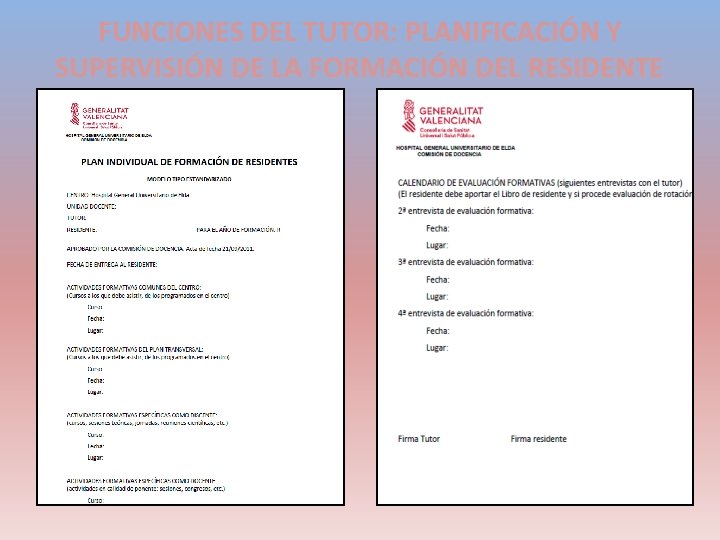 FUNCIONES DEL TUTOR: PLANIFICACIÓN Y SUPERVISIÓN DE LA FORMACIÓN DEL RESIDENTE 